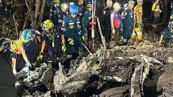 Related article image