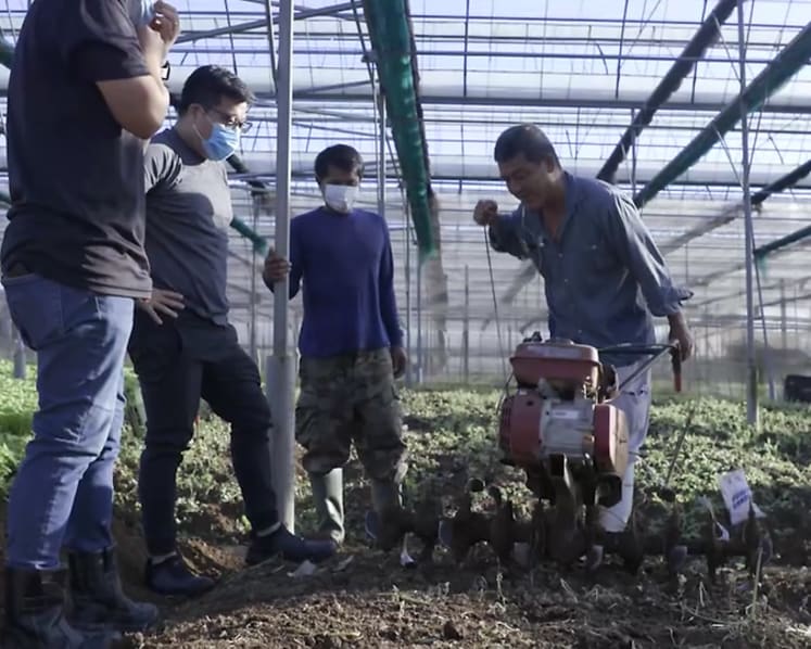 Singapore’s farms face an even greater challenge in a post-COVID-19 world