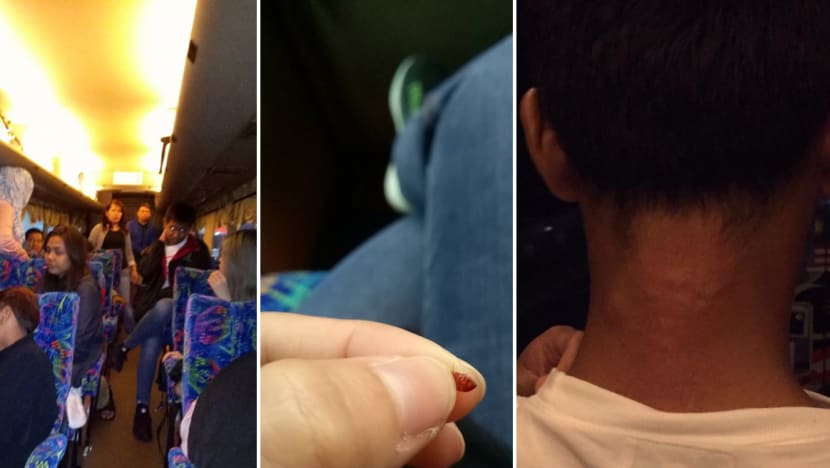 Bedbugs cause eight-hour nightmare for passengers on KL-Singapore coach