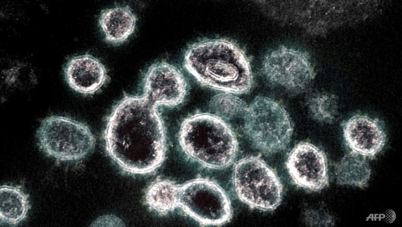 Commentary: Will the new COVID-19 variant BA.2 cause another wave of infections? Commentary: Will the new COVID-19 variant BA.2 cause another wave of infections?