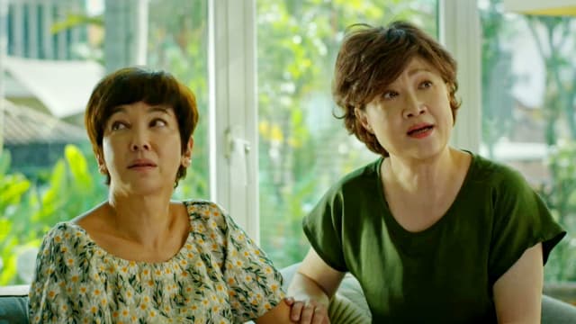卫国先锋2（第8集）：追祥是祥生亲生子