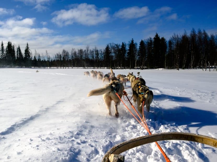 Lapland and the Northern Lights