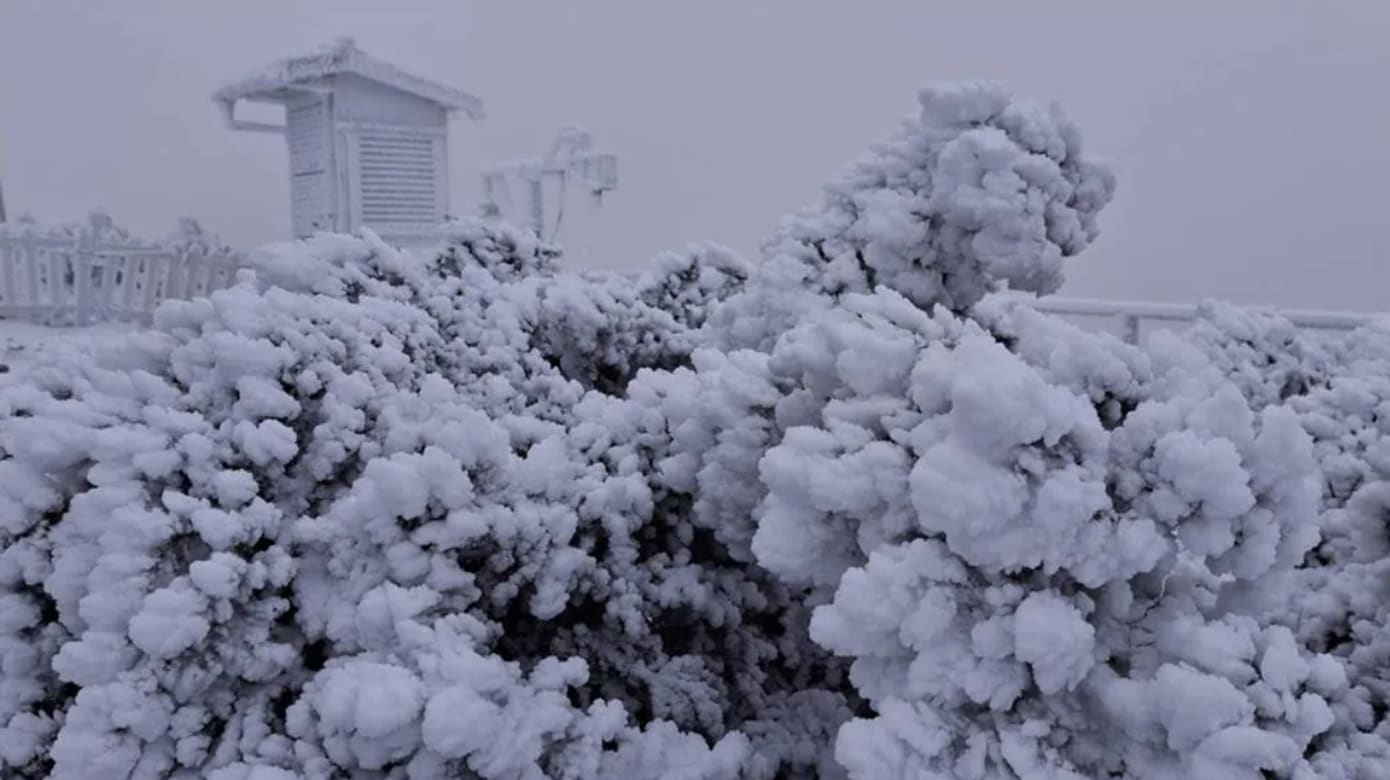 20251227 taiwan yushan 3