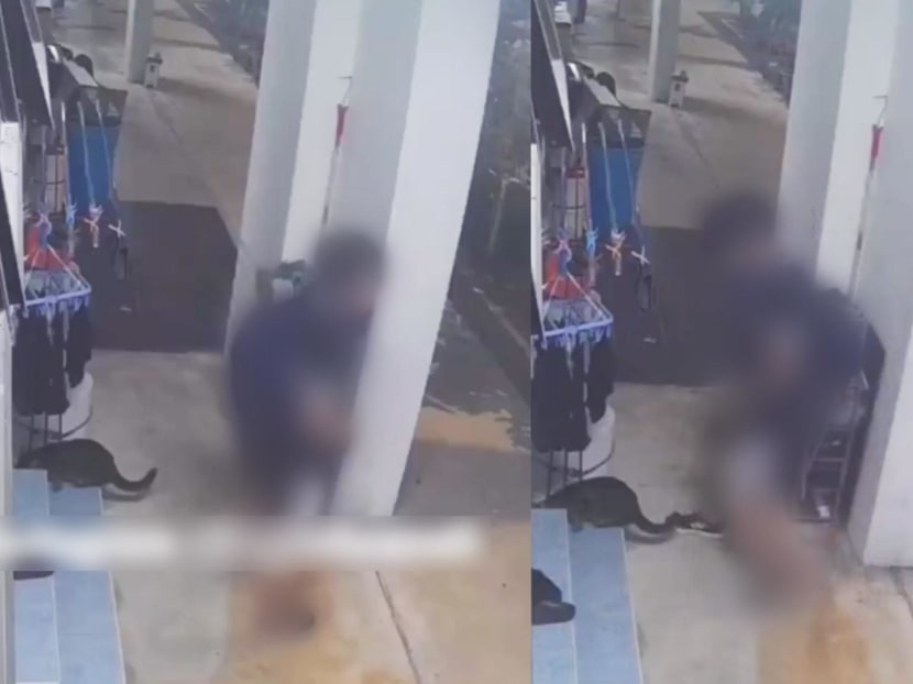 In a surveillance video, a youth can be seen humping a cat twice from the back.