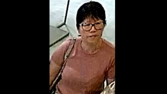 涉及白沙浮商业城偷窃案 警方欲晤图中妇女助查