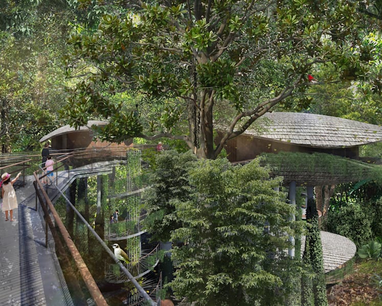 New Mandai resort will offer ‘unprecedented access to nature’, treehouses for guests