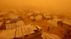 Related article image