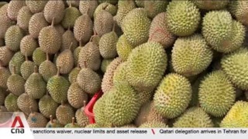 Weather conditions over coming weeks could affect quality, supply of durians 