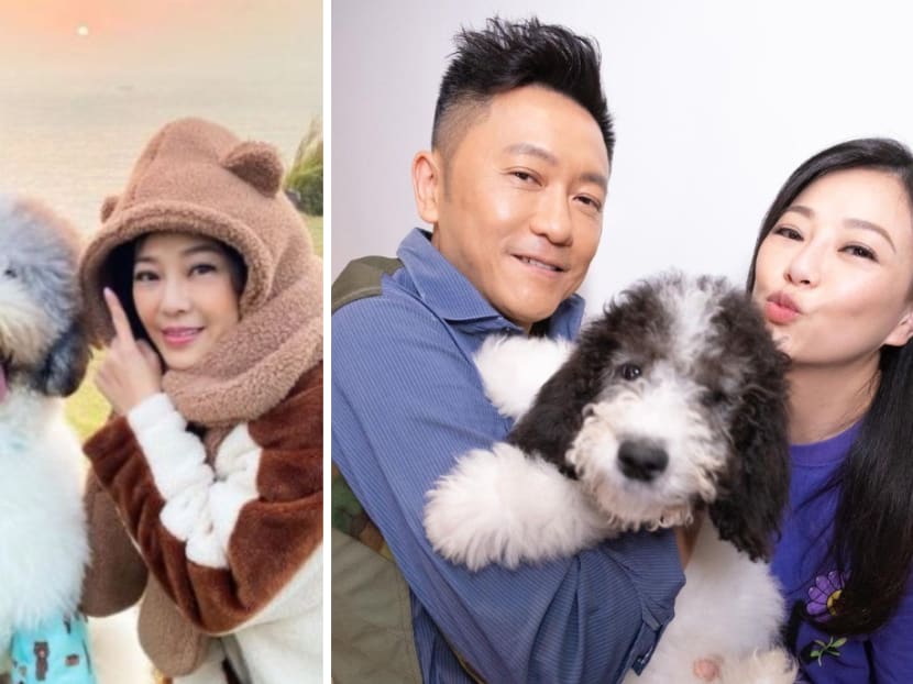 Edmond So&rsquo;s Wife Winnie Lau, Who Calls Herself An Animal Lover, Sparks Outrage For Promoting Dog Repeller