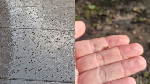 马国天然气管爆炸天空降“石子雨” 居民车房车顶布满沙石