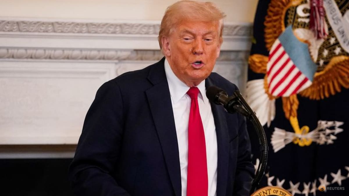Trump sets 19% tariff on Indonesia goods in latest trade deal - CNA