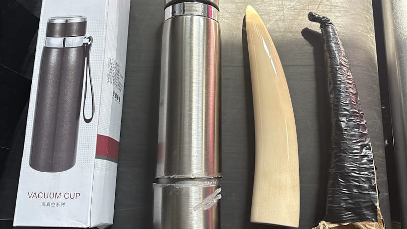 Man jailed for trying to smuggle ivory tusk into Singapore in thermos flask