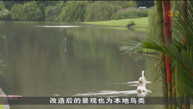 数十名中学生应总统邀请率先参观天鹅湖