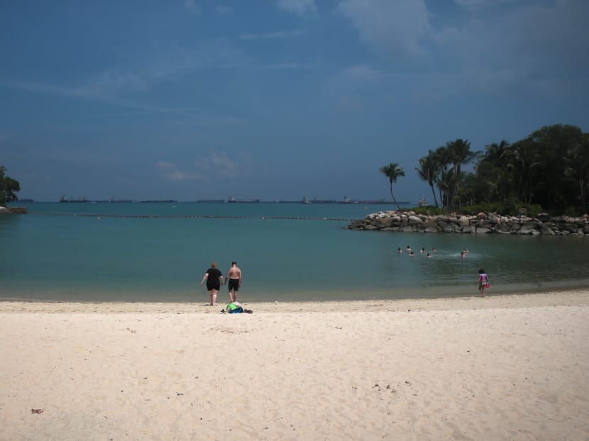 A beach at Sentosa. The writer says precautions should be stepped up against box jellyfish given the threat it poses.