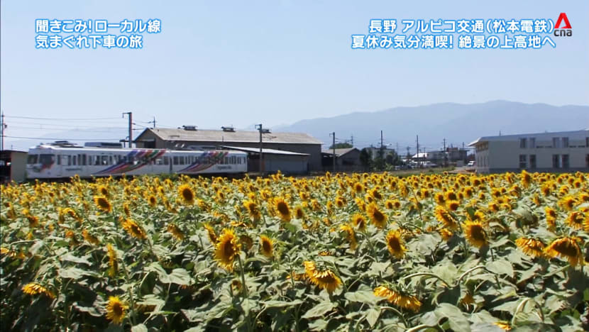 Road Trip On Matsumoto Electric Railway - Part 2
