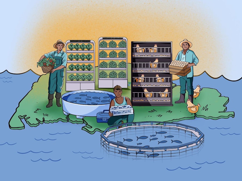 The Big Read in short: Homegrown food produce — will Singaporeans bite despite bigger price tags?