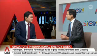 Renewable energy growth will outpace energy demand growth: Analyst