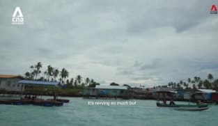What's Coming Up - Growing Wild: Project Castaway