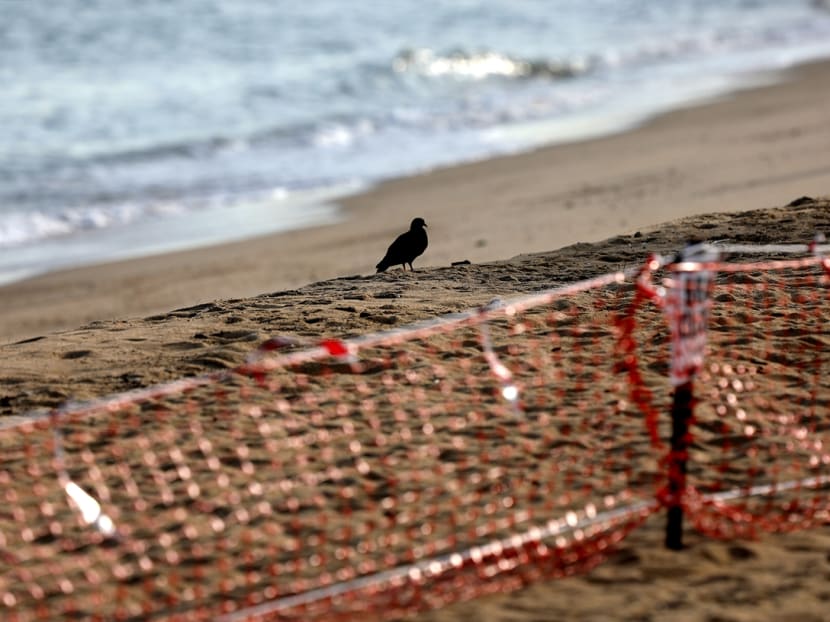 Playgrounds and beaches will reopen as soon as Singapore enters the second phase of its post-"circuit breaker" transition on Friday. Playgrounds and beaches will reopen as soon as Singapore enters the second phase of its post-"circuit breaker" transition on Friday.