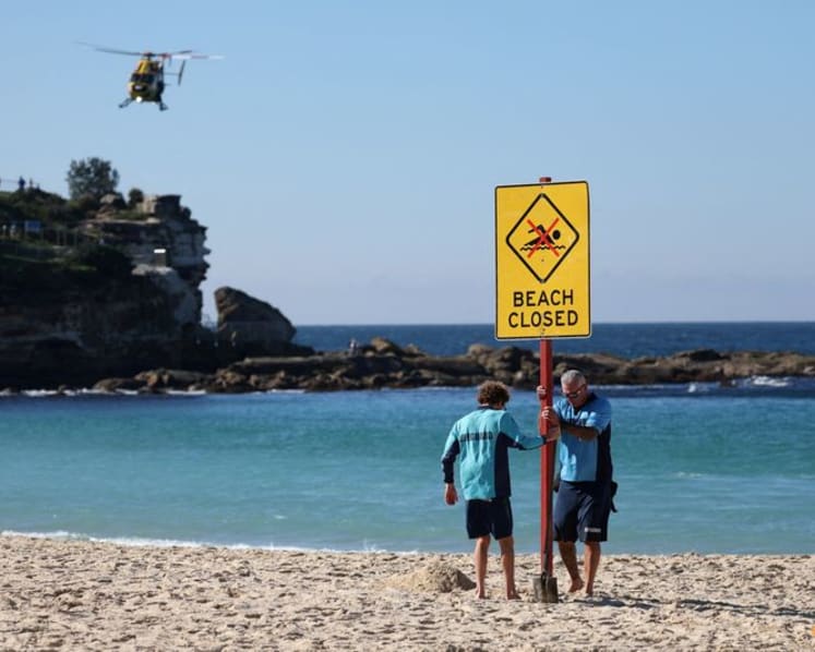 Sydney reopens beach under heavy patrols after shark attack