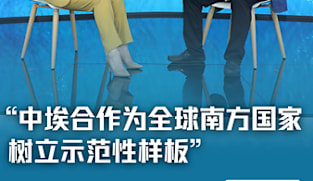 【Real Time • Tide Watching | China-Egypt Cooperation Sets an Exemplary Model for the Global South -- Interview with Tang Zhichao, Deputy Director of the Institute of West Asian and African Studies, Chinese Academy of Social Sciences】