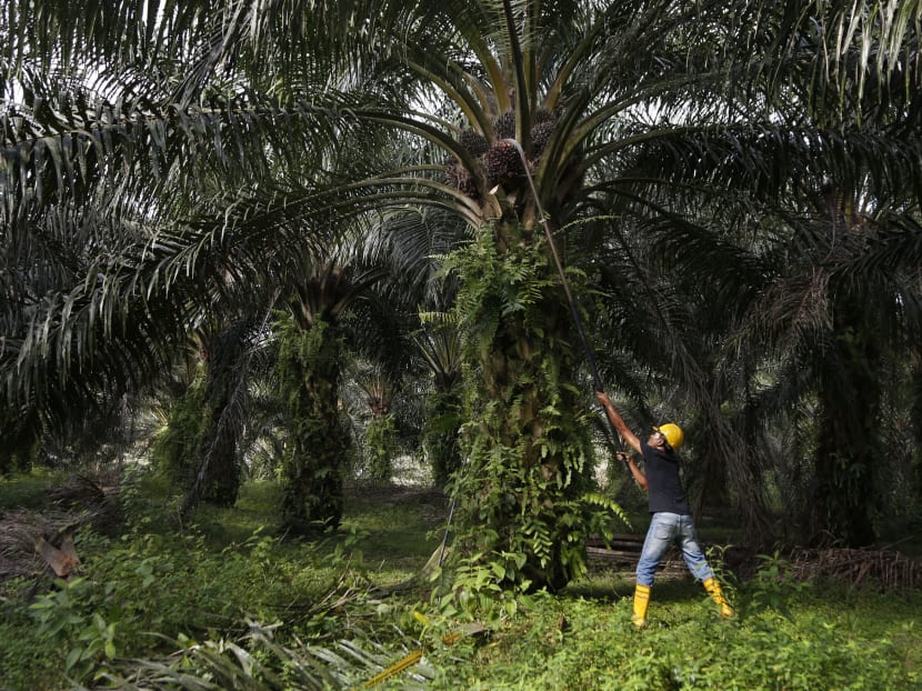 Felda turmoil fails to shake Umno