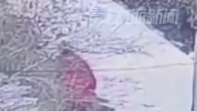 不满红包钱须上交妈妈保管 男童离家出走惊动百人搜寻