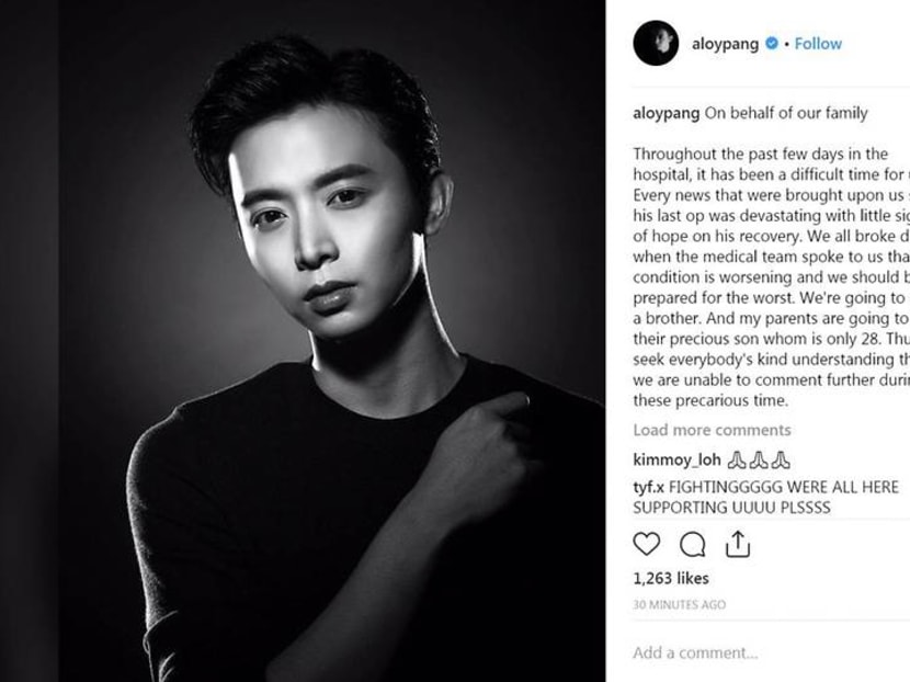 Aloysius Pang dies in SAF training accident: What we know so far