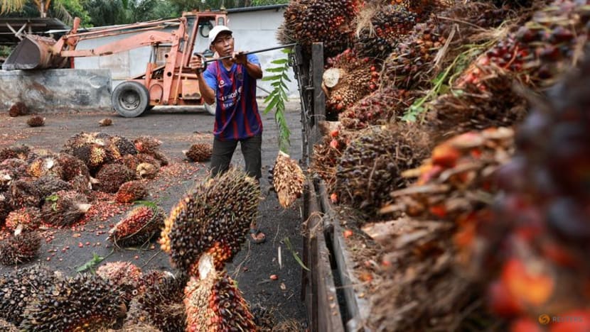 Malaysia's commodities ministry seeks tax exemption for palm oil raw materials