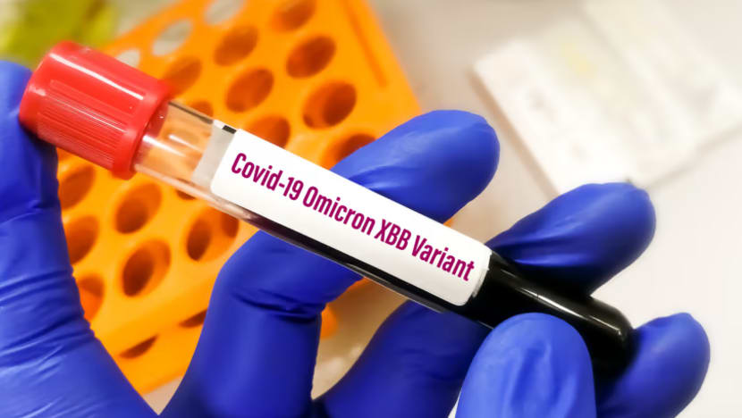 WHO beri amaran varian baru COVID-19 XBB1.5; haruskah kita bimbang? WHO beri amaran varian baru COVID-19 XBB1.5; haruskah kita bimbang?