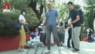 Robot guide dog among inclusive innovations to help visitors with disabilities at Gardens by the Bay