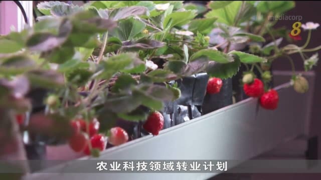 超过30名国人通过劳发局转业计划 加入绿色经济行列