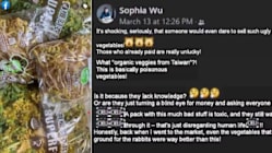 Related article image