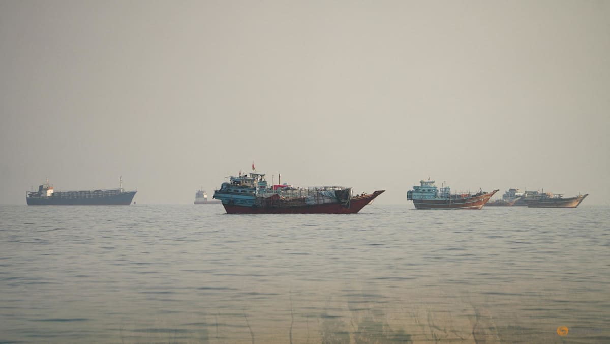 Iran proposes reopening Hormuz within seven days: Media - CNA