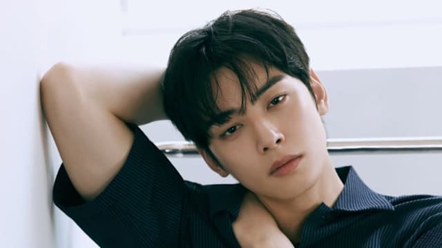 陷逃税疑云，车银优服役期间写道歉信