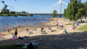 Climate change made Nordic heatwave 2°C hotter: Study