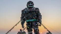 Related article image