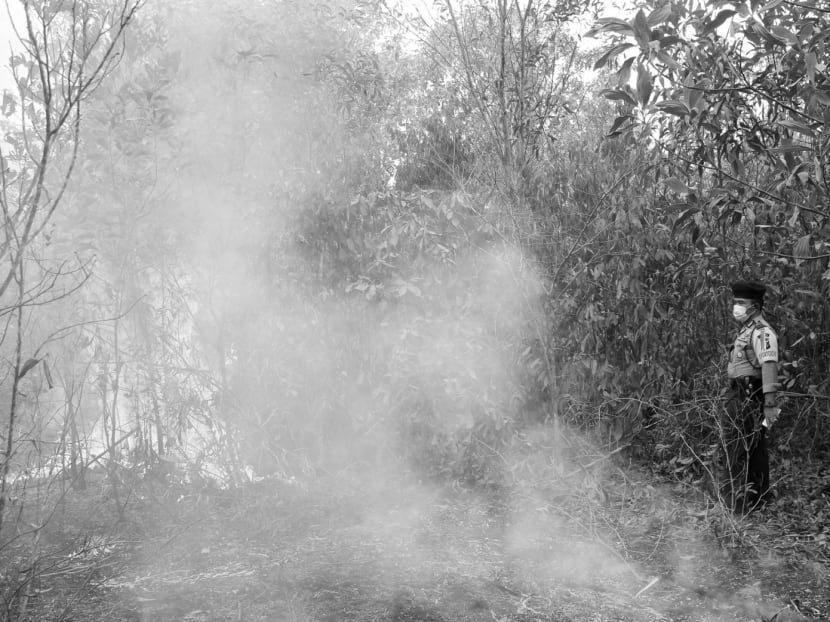 President Joko Widodo has personally visited the worst affected areas. He sees the haze problem as an ‘economic crime’ that harms Indonesia and her people. Photo: AP President Joko Widodo has personally visited the worst affected areas. He sees the haze problem as an ‘economic crime’ that harms Indonesia and her people. Photo: AP