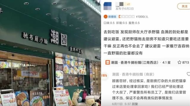 店员被指宰杀野猫带入后厨 广州粉面店遭网民炮轰