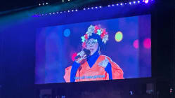 Related article image