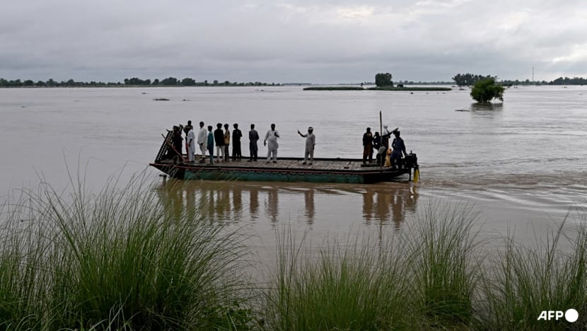 Cooling La Nina may return in coming months: UN Cooling La Nina may return in coming months: UN