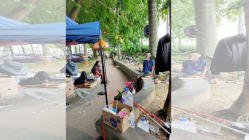 Related article image