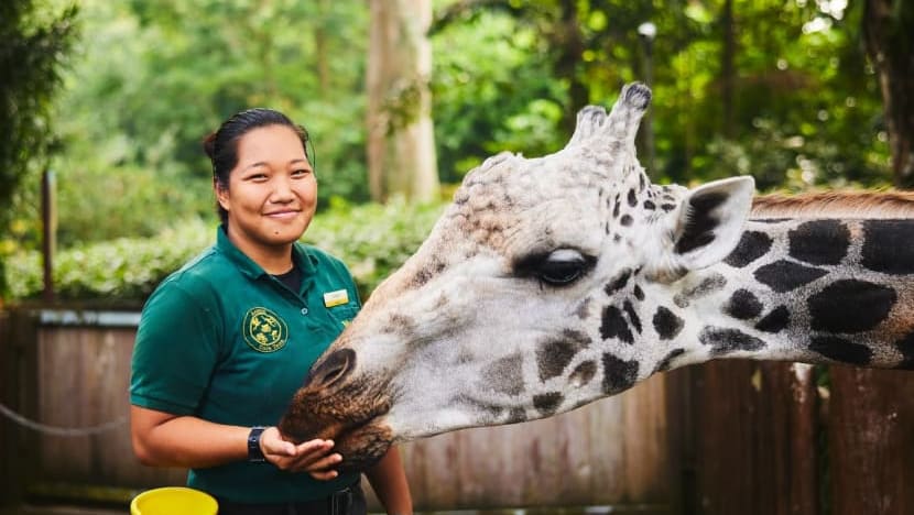 Pelajar perfileman ini beralih minat jadi penjaga haiwan