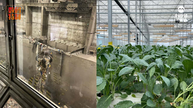 《绿动新加坡》7月起推出活动 废料转化能源厂将首次开放参观