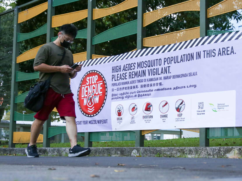 A photo of a banner put up by the National Environment Agency in areas with a high population of Aedes aegypti mosquitoes.