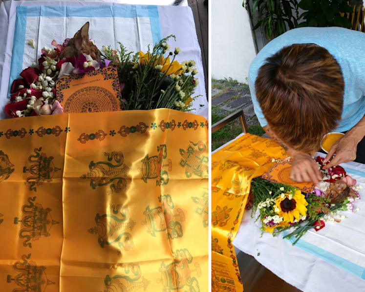 Saying goodbye: Owners go the extra mile for their pet’s final journey