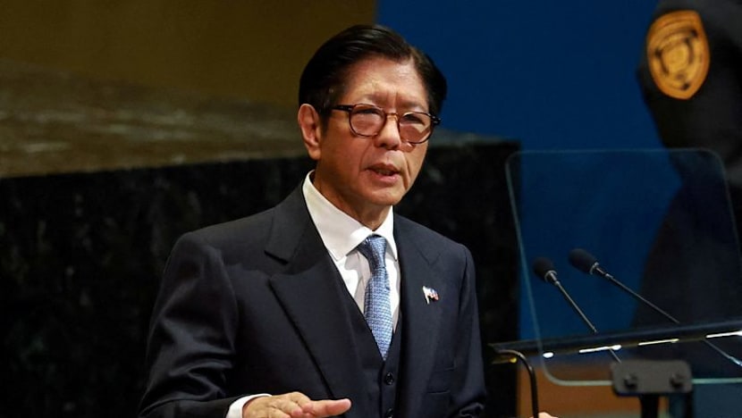 Philippines’ UN Security Council bid could amplify ASEAN voice on global issues: Analysts