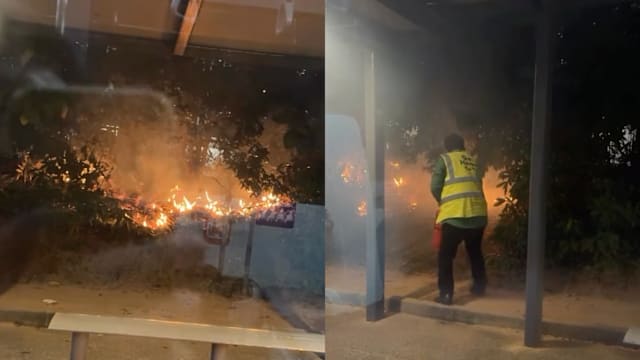 巴士站草丛起火 车长下车试图灭火获赞