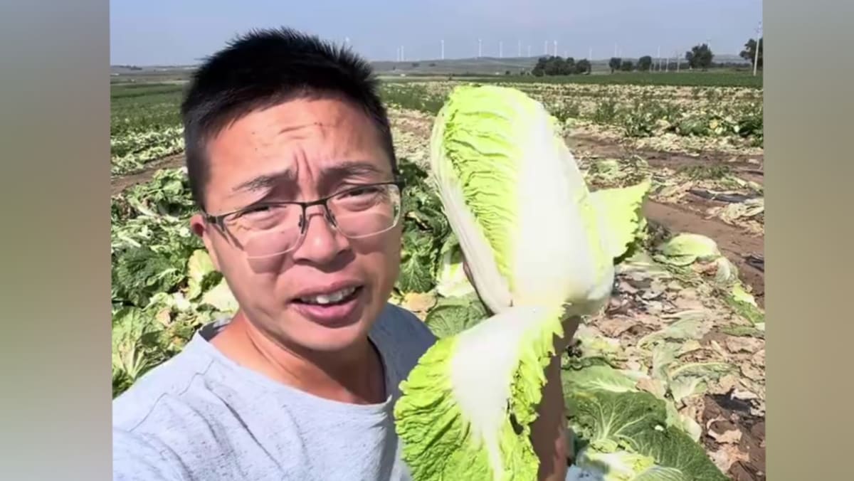 Viral video kubis China dicelup formalin, Singapura dan Korsel perketat pengawasan impor
