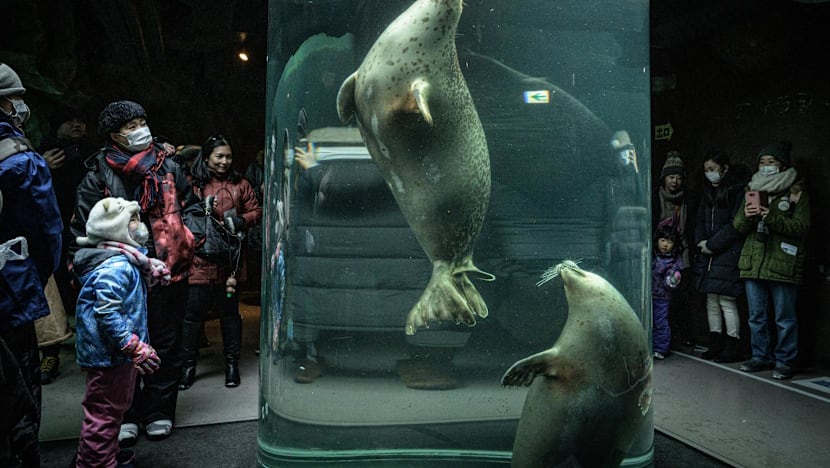 Japan police probe man over wife in zoo incinerator: Reports